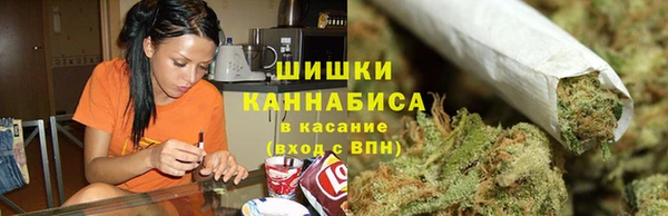 индика Вязники